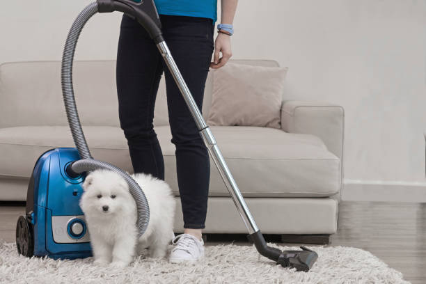  Six Most Effective Carpet Cleaning Tips for Pet Owners